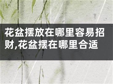 花盆摆放在哪里容易招财,花盆摆在哪里合适