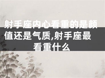 射手座内心看重的是颜值还是气质,射手座最看重什么