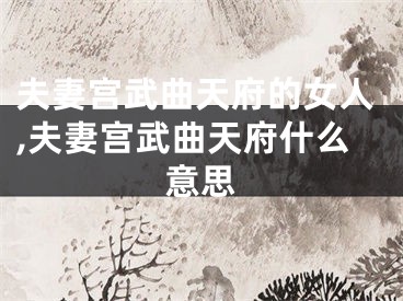 夫妻宫武曲天府的女人,夫妻宫武曲天府什么意思