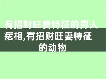 有招财旺妻特征的男人痣相,有招财旺妻特征的动物