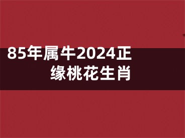 85年属牛2024正缘桃花生肖