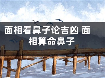 面相看鼻子论吉凶 面相算命鼻子