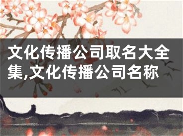 文化传播公司取名大全集,文化传播公司名称