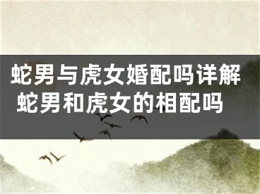 蛇男与虎女婚配吗详解 蛇男和虎女的相配吗