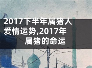 2017下半年属猪人爱情运势,2017年属猪的命运