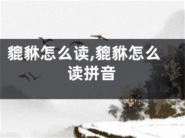 貔貅怎么读,貔貅怎么读拼音
