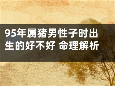 95年属猪男性子时出生的好不好 命理解析