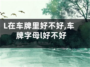 L在车牌里好不好,车牌字母l好不好