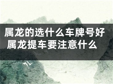 属龙的选什么车牌号好 属龙提车要注意什么