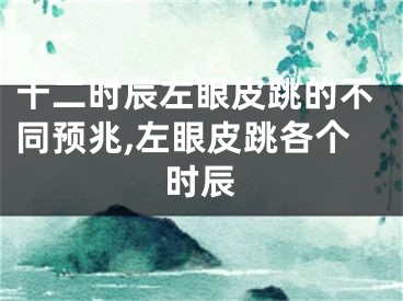 十二时辰左眼皮跳的不同预兆,左眼皮跳各个时辰