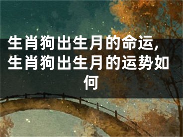 生肖狗出生月的命运,生肖狗出生月的运势如何