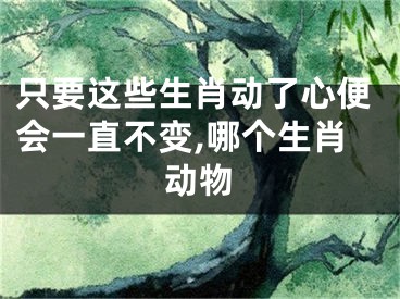 只要这些生肖动了心便会一直不变,哪个生肖动物