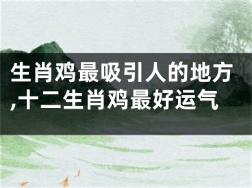 生肖鸡最吸引人的地方,十二生肖鸡最好运气