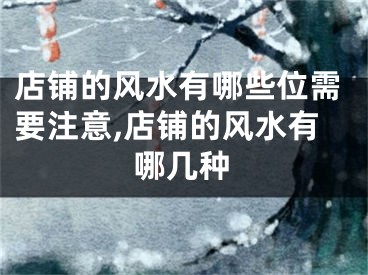店铺的风水有哪些位需要注意,店铺的风水有哪几种