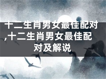 十二生肖男女最佳配对,十二生肖男女最佳配对及解说