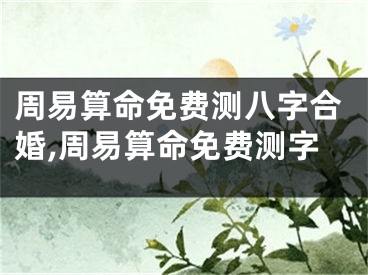 周易算命免费测八字合婚,周易算命免费测字