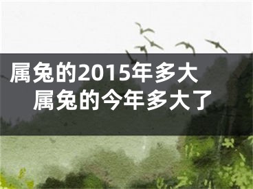 属兔的2015年多大属兔的今年多大了