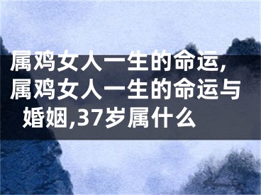 属鸡女人一生的命运,属鸡女人一生的命运与婚姻,37岁属什么