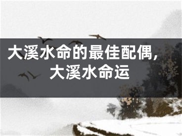大溪水命的最佳配偶,大溪水命运