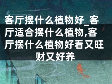 客厅摆什么植物好_客厅适合摆什么植物,客厅摆什么植物好看又旺财又好养
