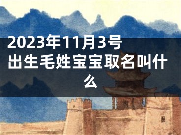 2023年11月3号出生毛姓宝宝取名叫什么
