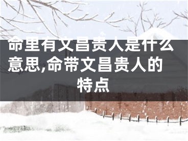 命里有文昌贵人是什么意思,命带文昌贵人的特点