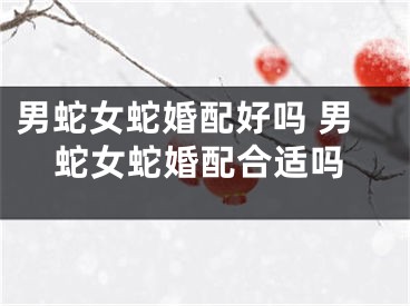 男蛇女蛇婚配好吗 男蛇女蛇婚配合适吗