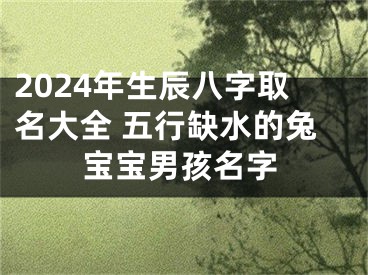 2024年生辰八字取名大全 五行缺水的兔宝宝男孩名字