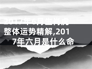 2017年6月生肖虎整体运势精解,2017年六月是什么命