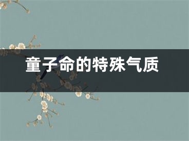 童子命的特殊气质