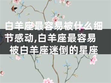 白羊座最容易被什么细节感动,白羊座最容易被白羊座迷倒的星座