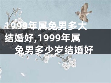 1999年属兔男多大结婚好,1999年属兔男多少岁结婚好