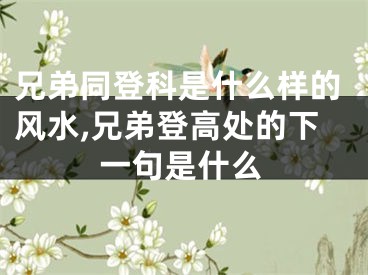 兄弟同登科是什么样的风水,兄弟登高处的下一句是什么