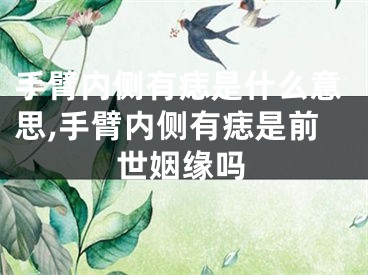 手臂内侧有痣是什么意思,手臂内侧有痣是前世姻缘吗
