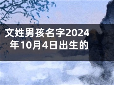 文姓男孩名字2024年10月4日出生的