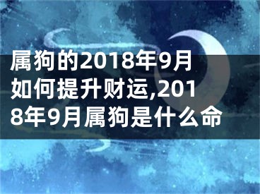属狗的2018年9月如何提升财运,2018年9月属狗是什么命