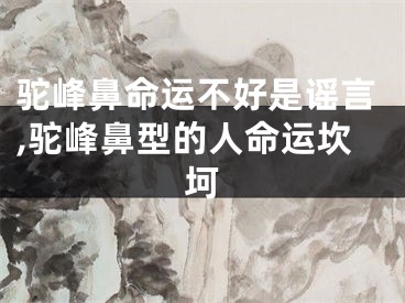 驼峰鼻命运不好是谣言,驼峰鼻型的人命运坎坷