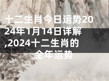 十二生肖今日运势2024年1月14日详解,2024十二生肖的全年运势