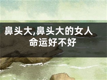 鼻头大,鼻头大的女人命运好不好