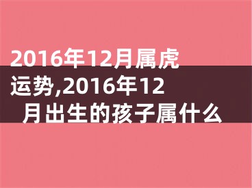 2016年12月属虎运势,2016年12月出生的孩子属什么