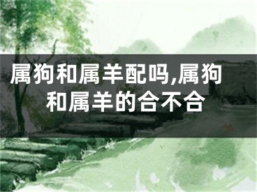 属狗和属羊配吗,属狗和属羊的合不合