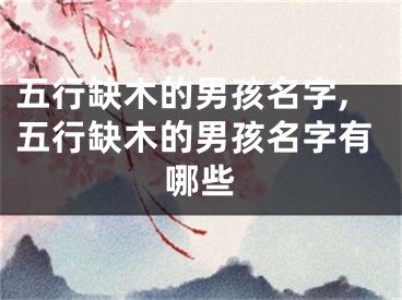 五行缺木的男孩名字,五行缺木的男孩名字有哪些