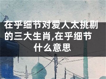 在乎细节对爱人太挑剔的三大生肖,在乎细节什么意思