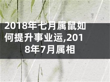 2018年七月属鼠如何提升事业运,2018年7月属相