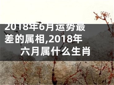 2018年6月运势最差的属相,2018年六月属什么生肖