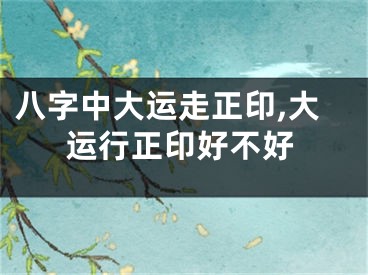 八字中大运走正印,大运行正印好不好