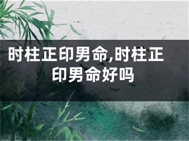 时柱正印男命,时柱正印男命好吗