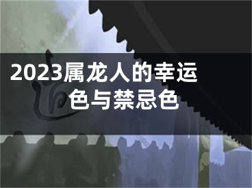 2023属龙人的幸运色与禁忌色