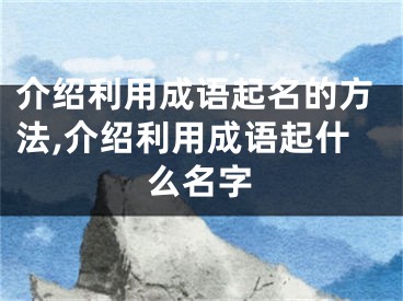 介绍利用成语起名的方法,介绍利用成语起什么名字