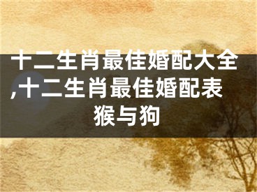 十二生肖最佳婚配大全,十二生肖最佳婚配表猴与狗